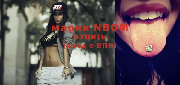 стафф Верхний Тагил