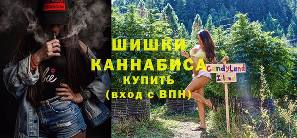 стафф Верхний Тагил