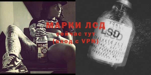 мяу мяу мука Верея